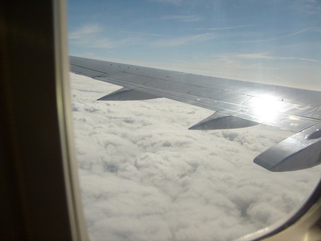 S6300796.JPG