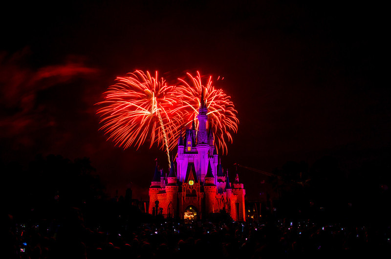 DSC1798-L.jpg