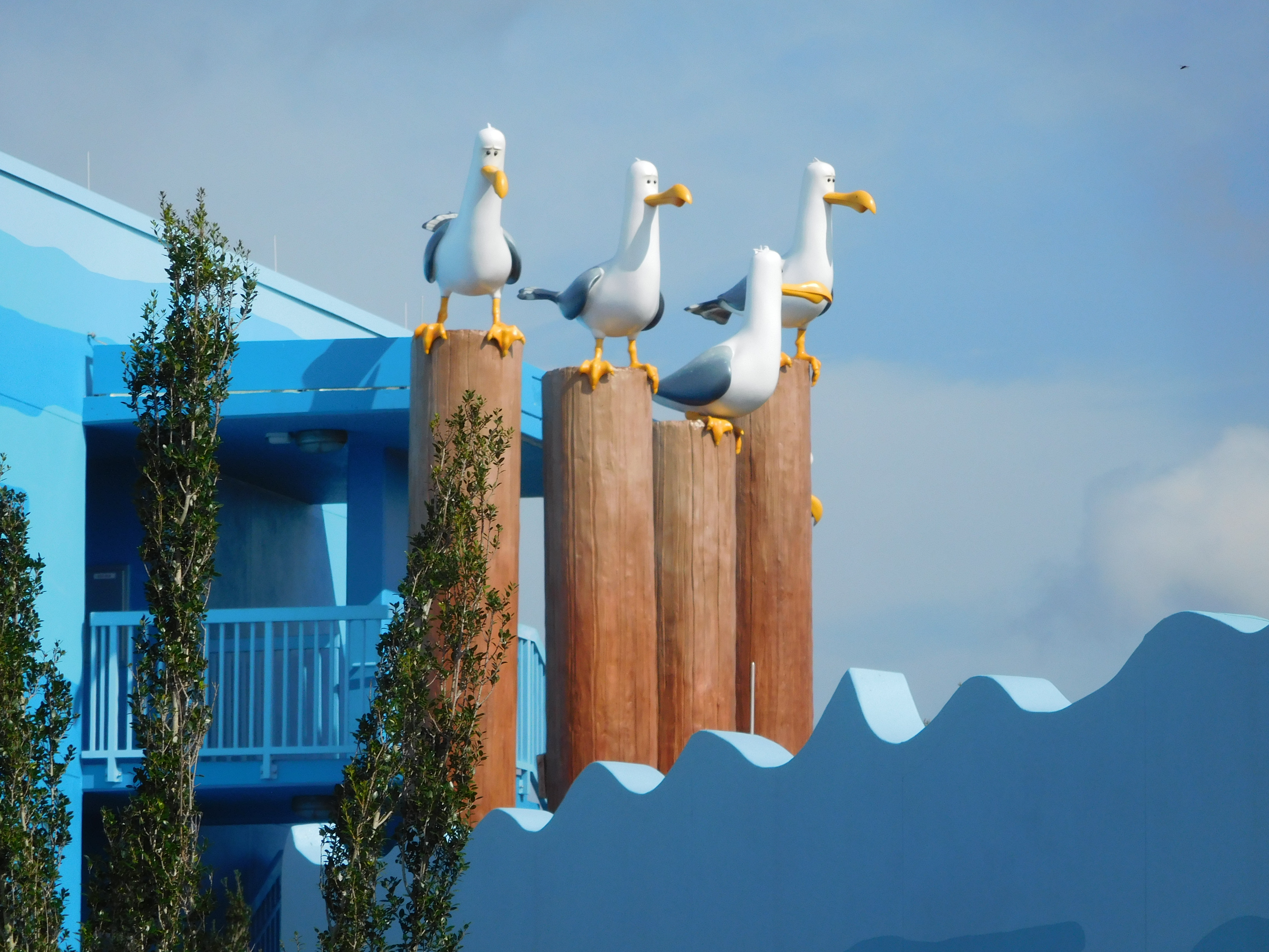 DSCN5905.jpg