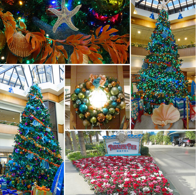 12-13-2013_7.jpg