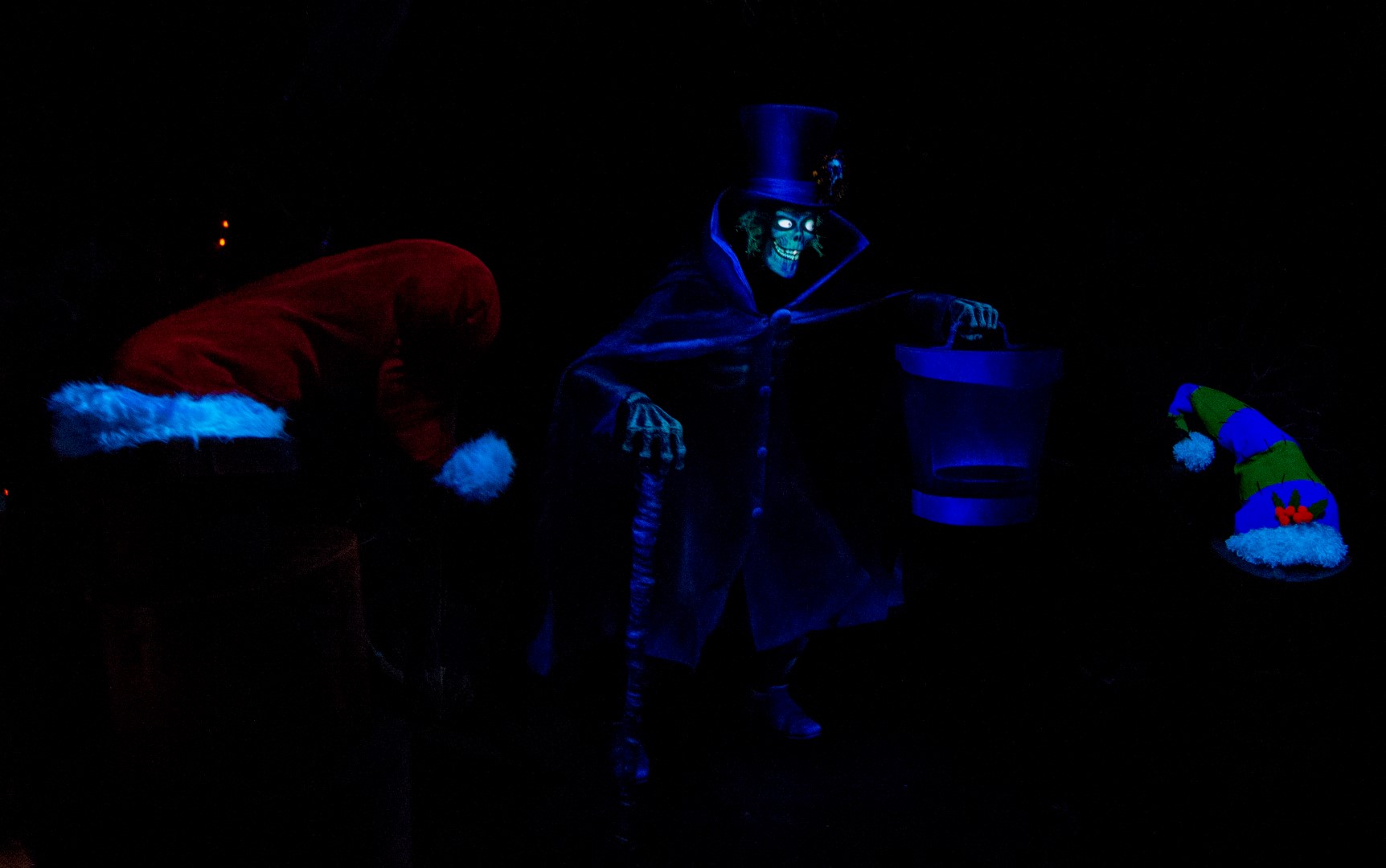 DSC_4167%20(Large).jpg