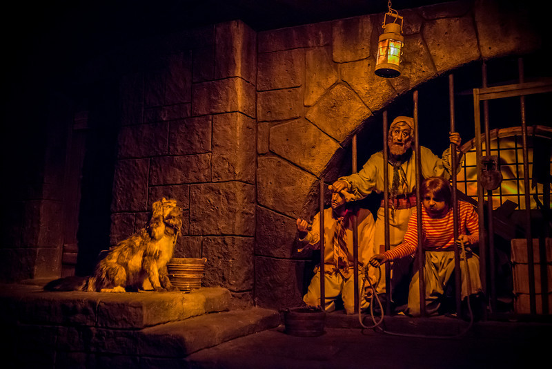 DSC_2582-L.jpg
