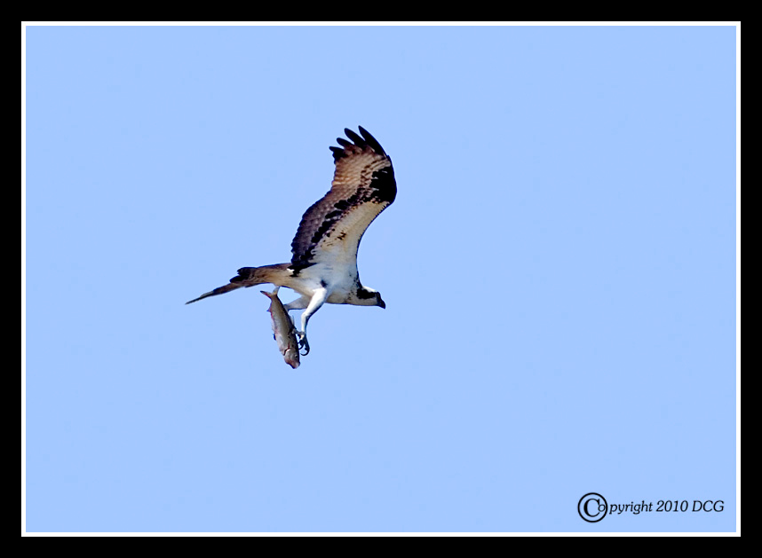 845887174_i2Tj7-X2.jpg