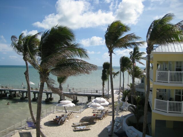 IMG_2331.jpg