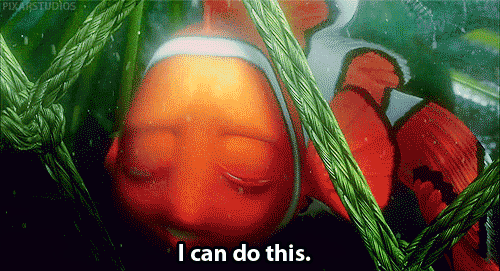 tumblr_lt6ltfX6w31r2k1nqo1_500.gif