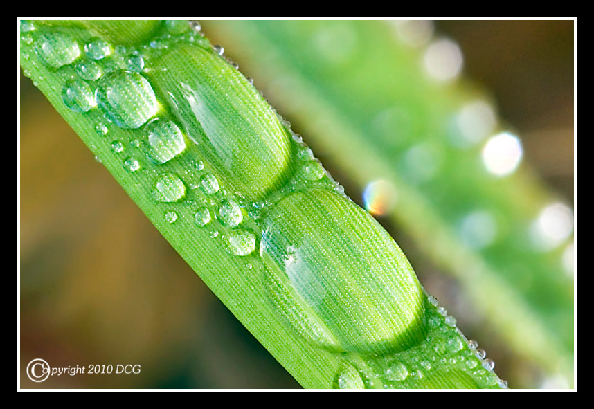 873549666_piXM4-X2.jpg