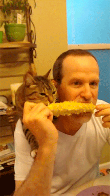 6b5349f9dd48371f6430a358f28c2e30.gif