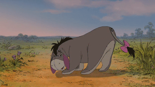 tumblr_lpu7d6bm8T1r1w9mgo1_500.gif