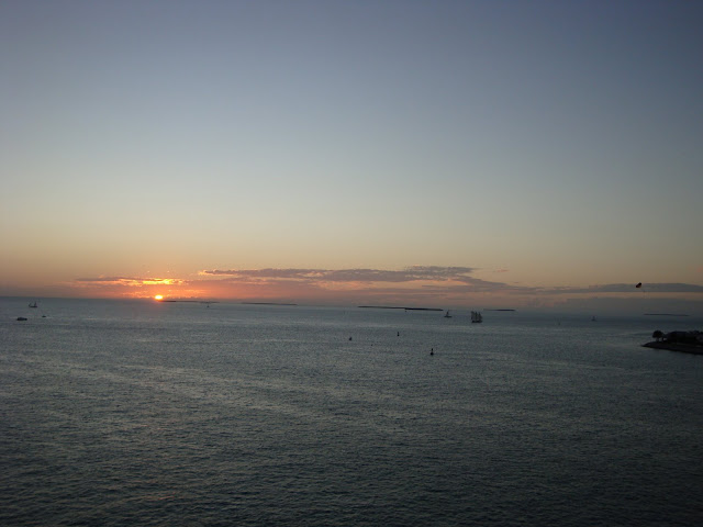 DSC00342.jpg