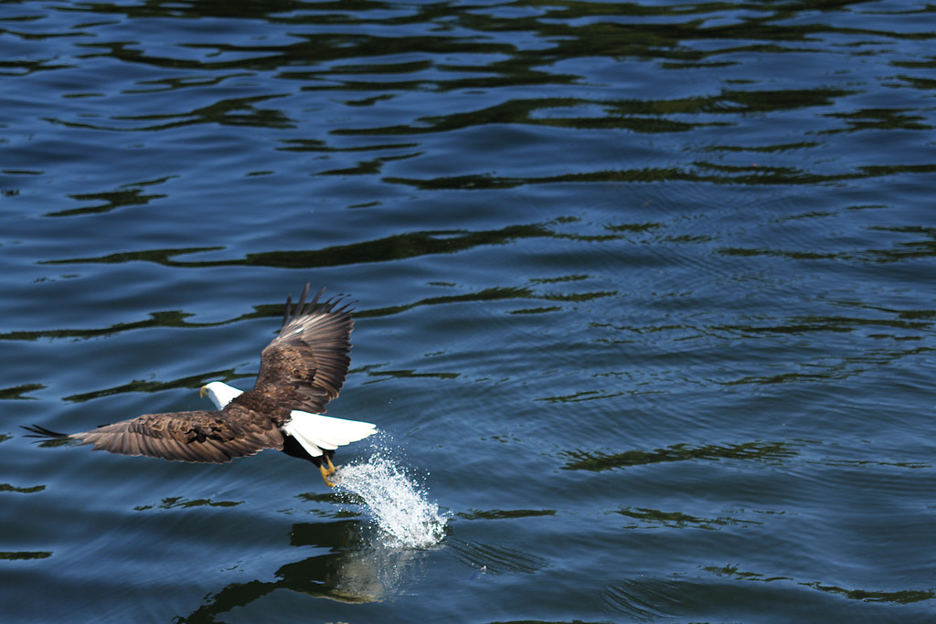 IMG_6934_1-XL.jpg