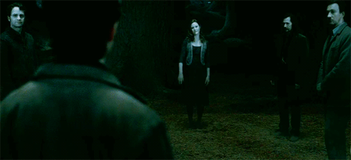 tumblr_lmwoqyBjeH1qcm1pfo1_500.gif