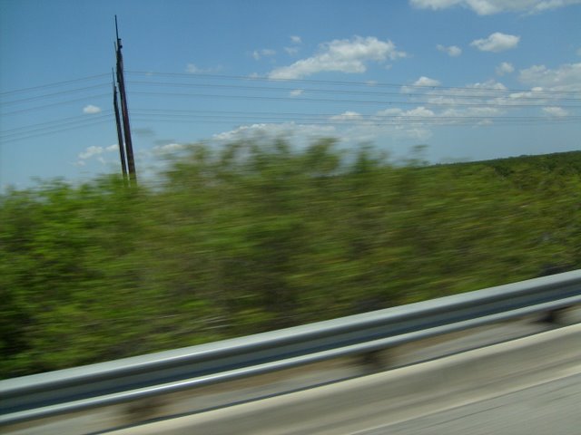 S6300549.JPG