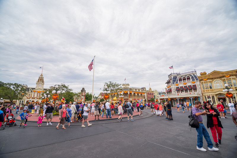 DSC_1665-L.jpg