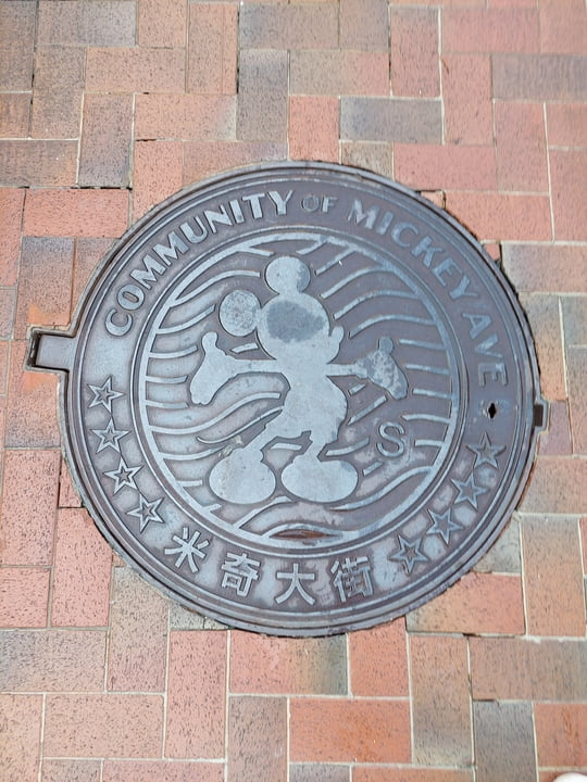 f05a3646-56dd-4591-936c-9c3e59b1760f.jpg