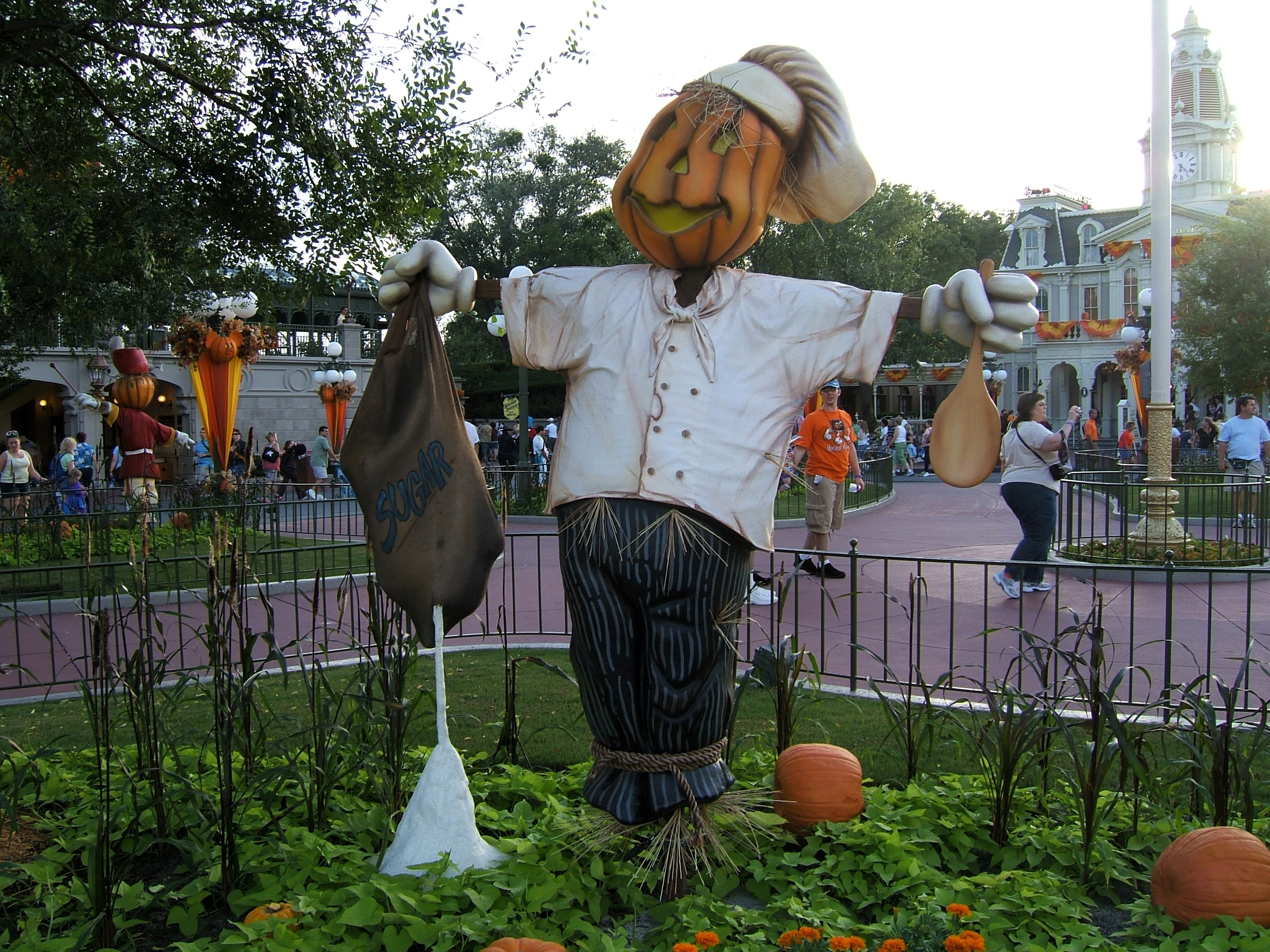 DSCF2182.jpg
