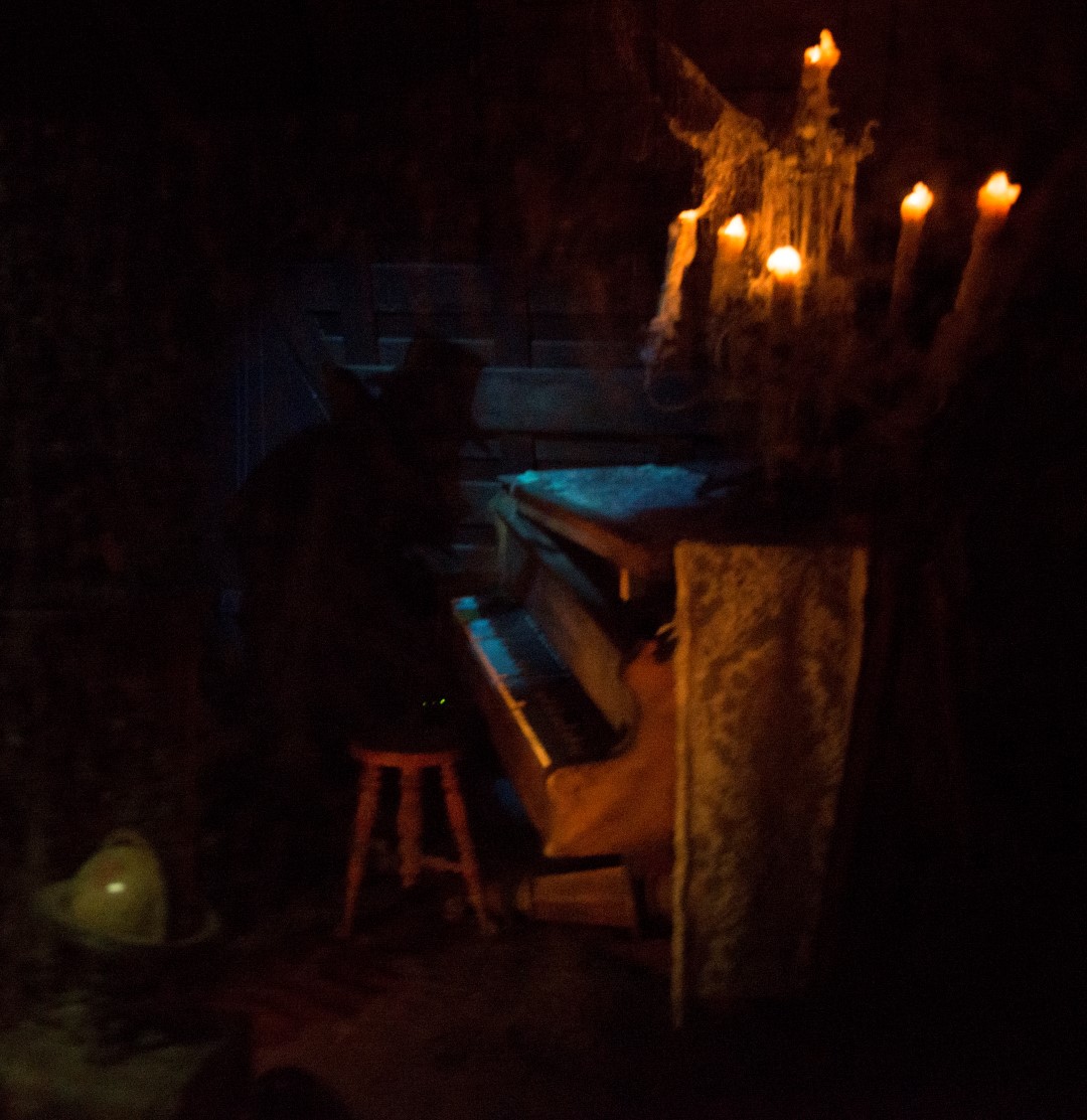 DSC_1864%20(Large).jpg