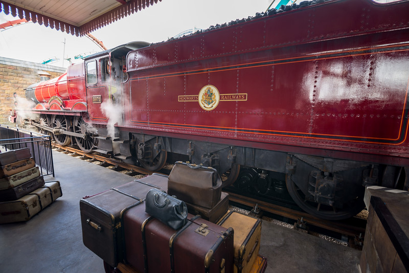 DSC_9809-L.jpg