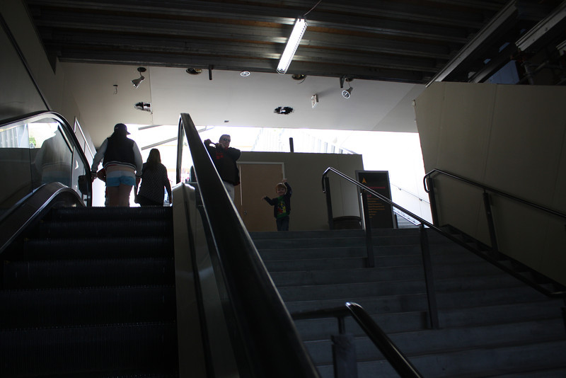 IMG0914-L.jpg