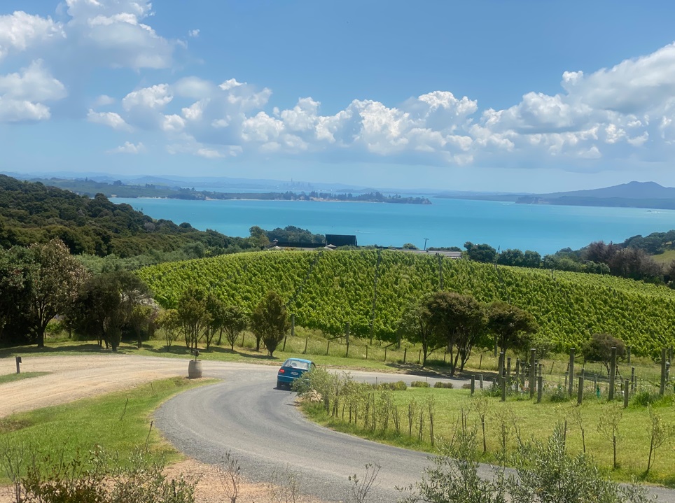 Mudbrick_view.jpg