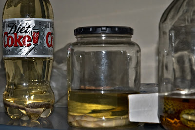 disc9.jpg