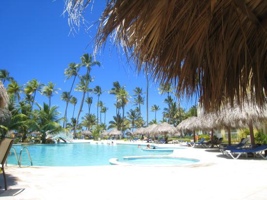 pool-palm-trees-at-the.jpg