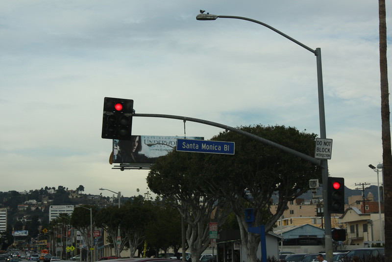 IMG_1011-L.jpg
