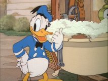 donald26.jpg