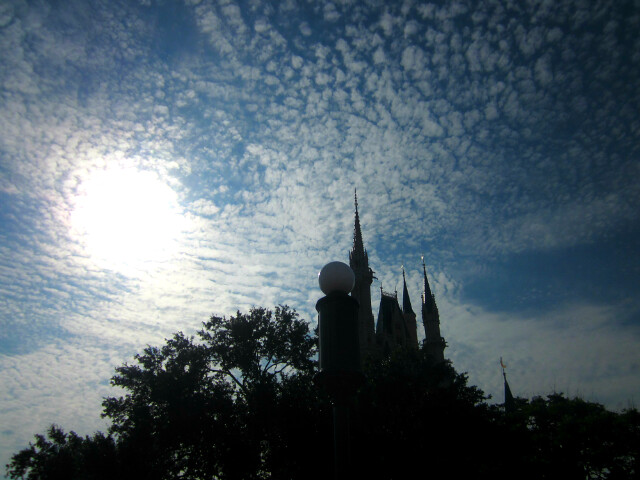 10007709875_17f91c3e40_z.jpg