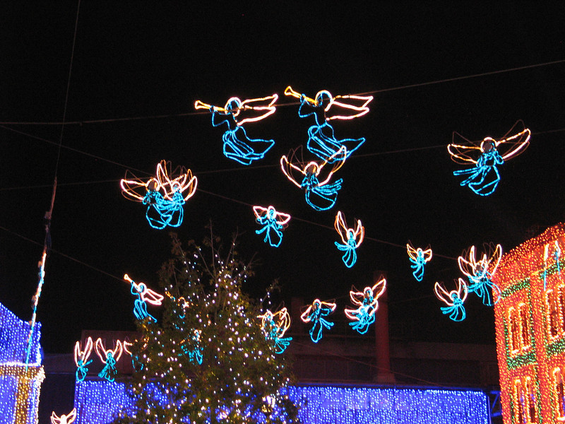 IMG7622-L.jpg