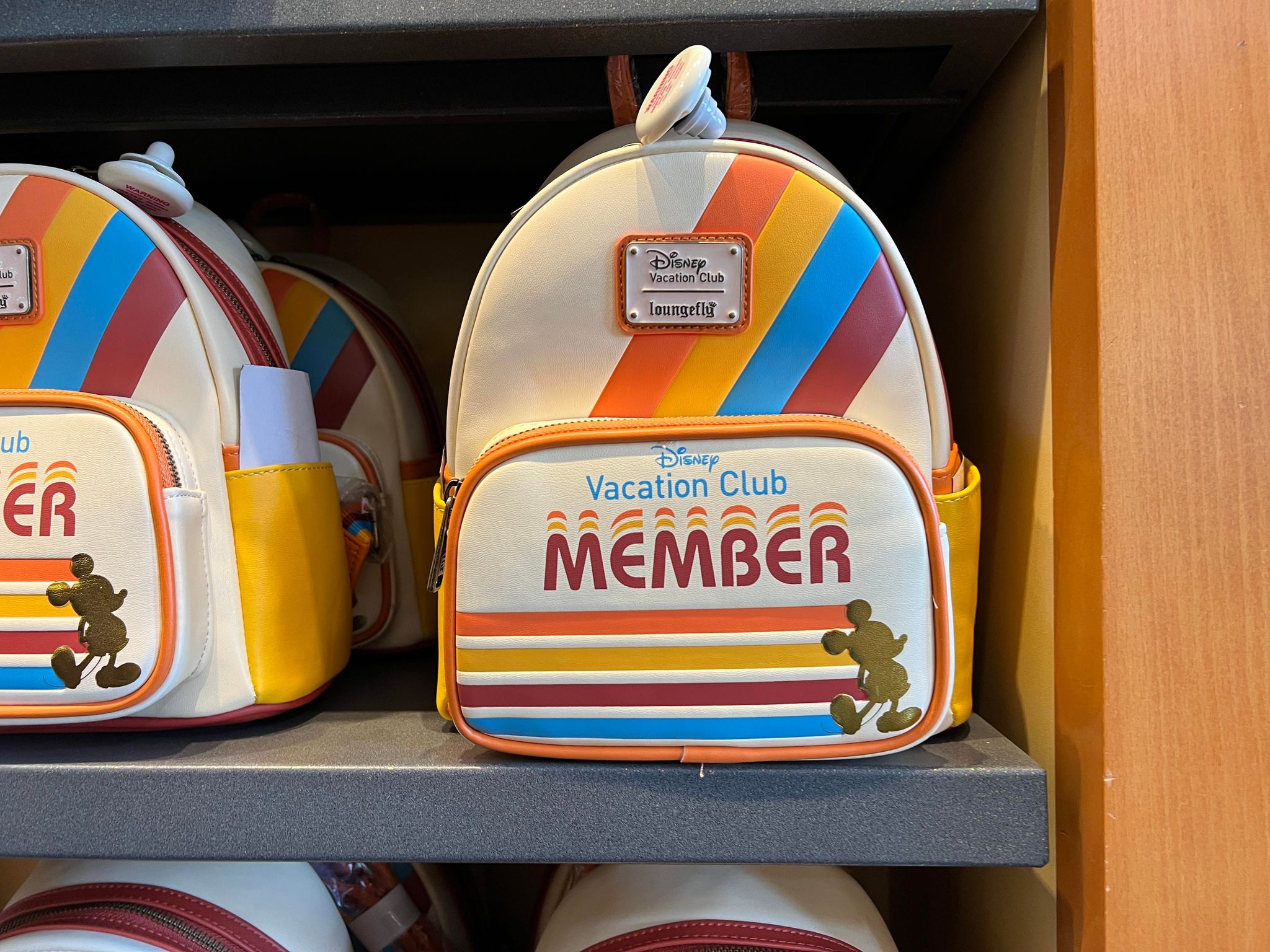 DVC-Member-2.jpg