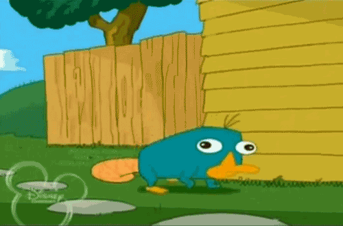 tumblr_m219qfgkp41qixtico1_500.gif
