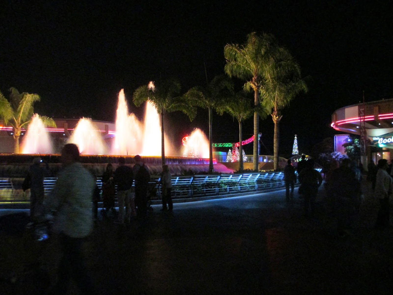 647.JPG