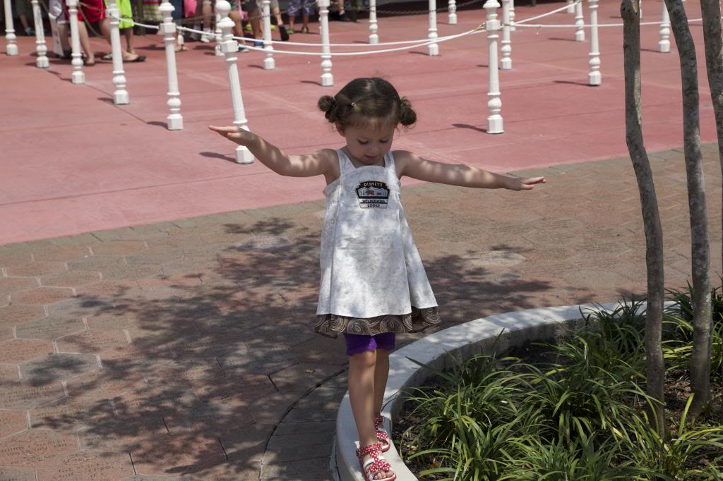IMG_1806_zps166272d8.jpg