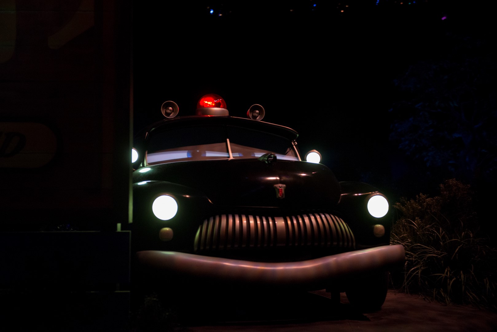 DSC_6243%20(Large).jpg