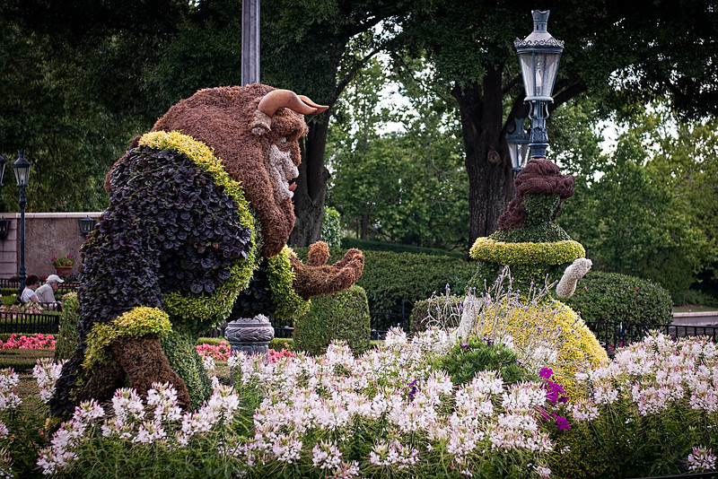 DSC9143-Edit-L.jpg