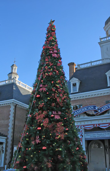 IMG8186-L.jpg