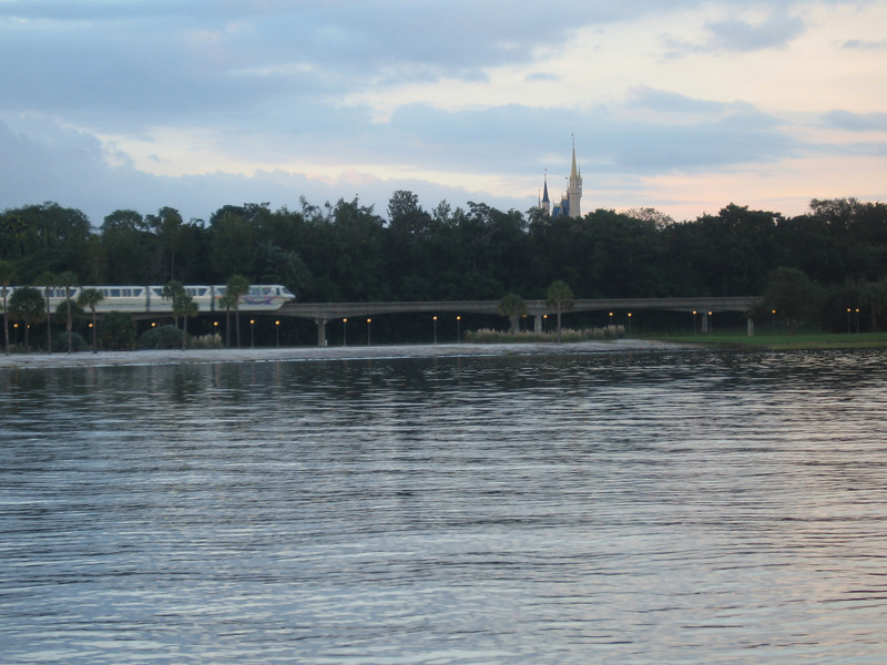 WDW%20247-L.jpg