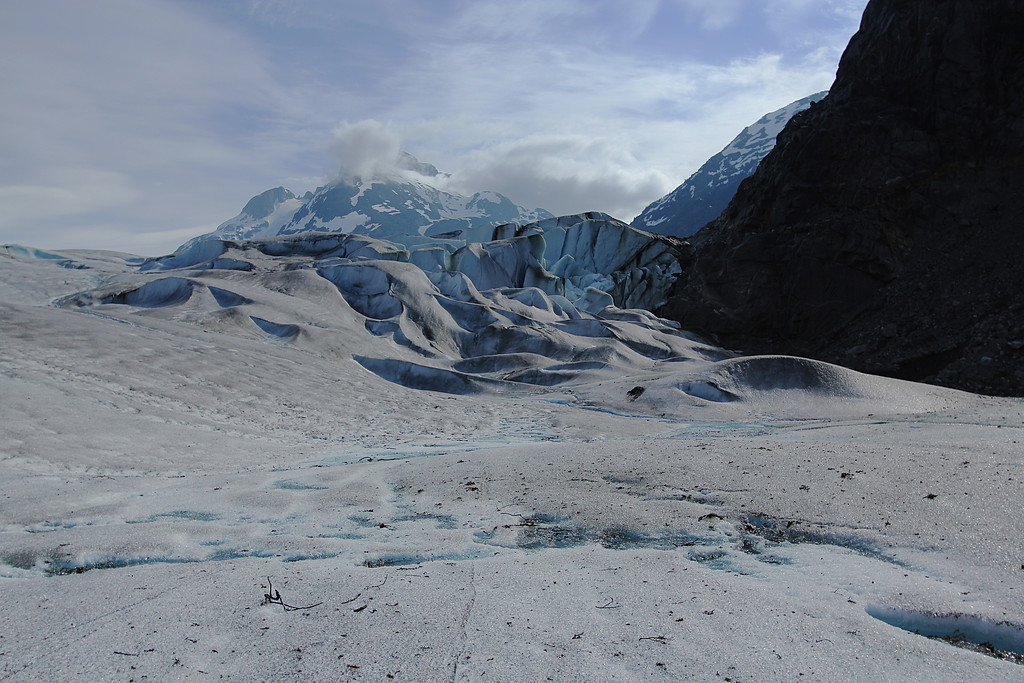 IMG_6687_1-12x8-XL.jpg