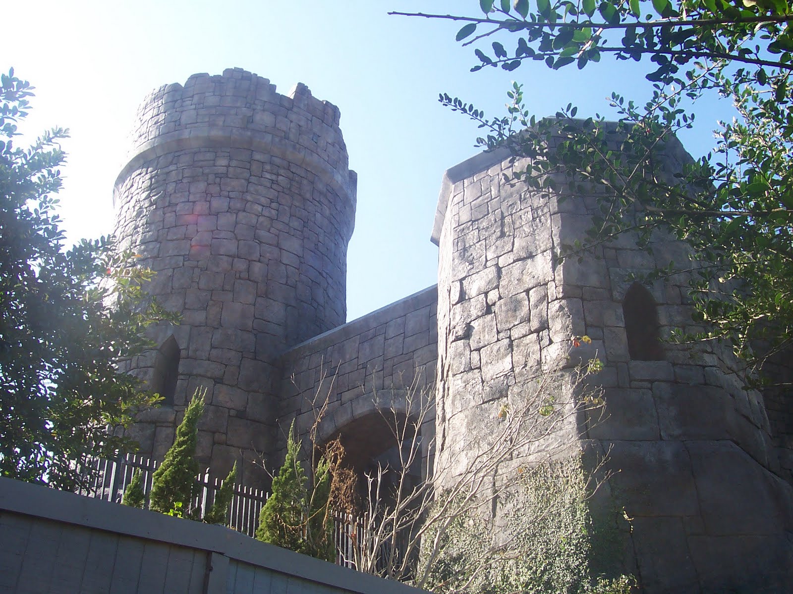 100_6291.JPG