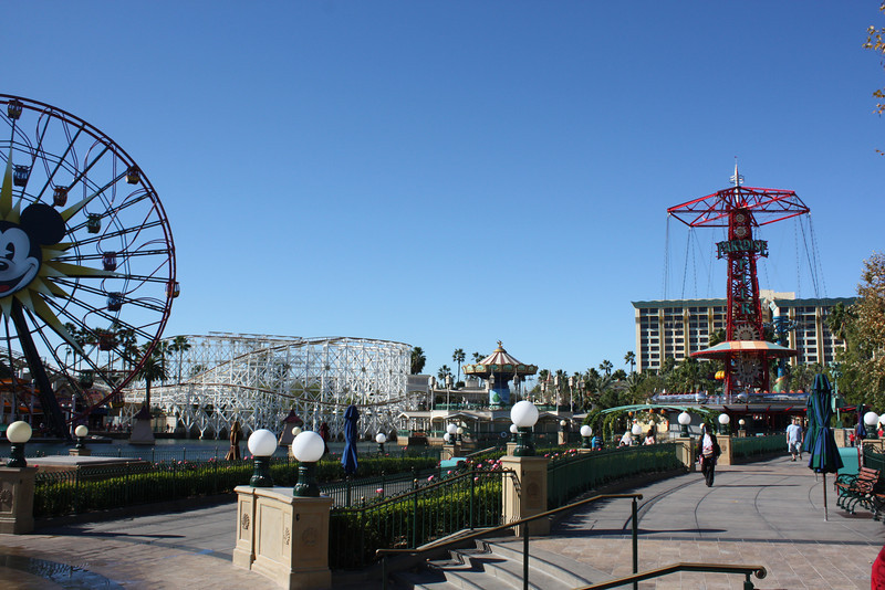 IMG9876-L.jpg