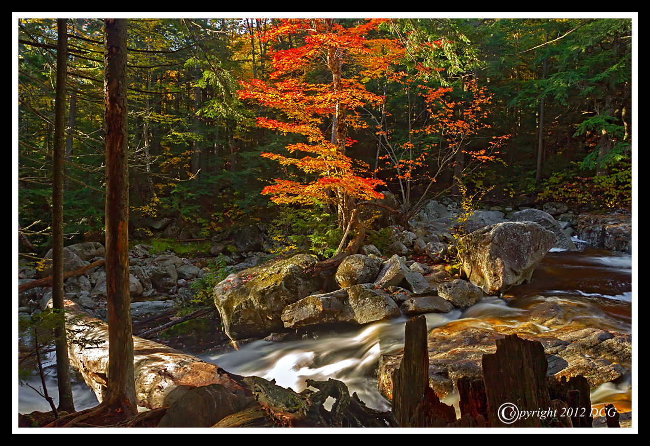Cascade-Brook-10-02-44cr-X2.jpg
