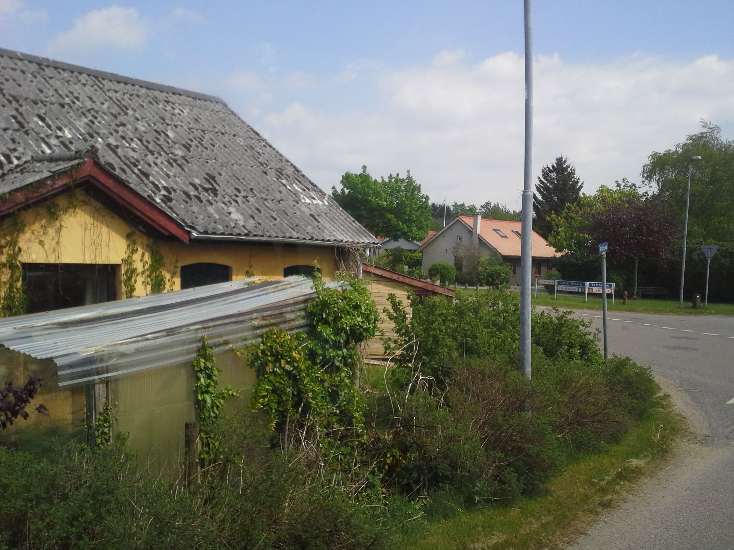 20160518-131408.jpg