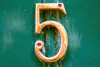 5.gif