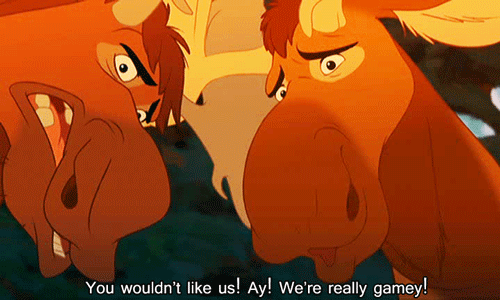 tumblr_m7dk3jDokg1qf8hrzo1_500.gif