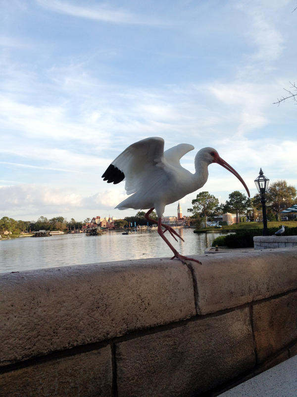 wdw_12_clxiii_by_ldfranklin-d6u42uk.jpg