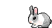 bunnyjump.gif