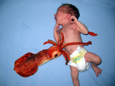Squid+Attacks+Baby.jpg