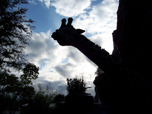 104_4422.jpg