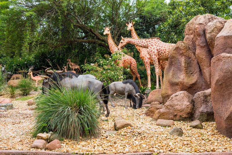DSC_3467-L.jpg