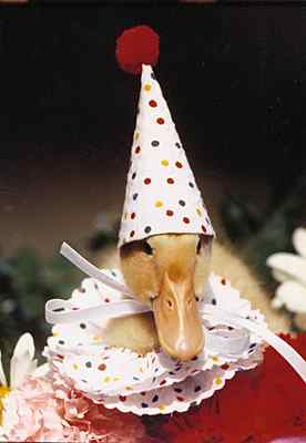 ClownDuck0.jpg